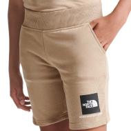 Short Beige Garçon The North Face NF0A84YWCEL1 pas cher