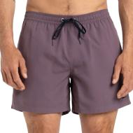 Short de Bain Prune Homme Quiksilver Solid 15