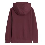 Sweat à Capuche Bordeaux Garçon Teddy Smith Evry1 vue 2