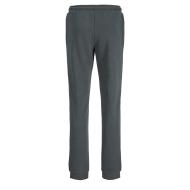 Jogging Gris Foncé Garçon Jack & Jones Jwhvesterbro vue 2