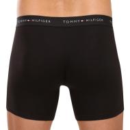 Lot de 3 Boxers Noir Homme Tommy Hilfiger UM0UM03696 vue 3
