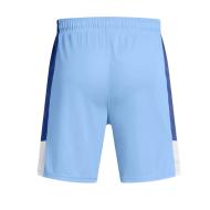 Short Bleu Homme Under Armour Baseline vue 2