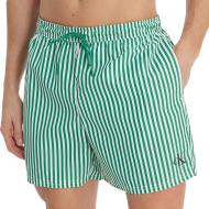 Badeshorts Grün/Weiß für Herren von Calvin Klein Jeans mit Kordelzug