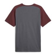 Manchester City T-shirt Gris Homme Puma Casuals vue 2