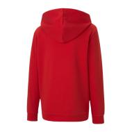 Sweat Zippé Rouge Garçon Puma Teamgoal 23 vue 2