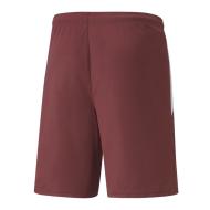 Short de Sport Rouge Homme Puma Teamliga vue 2