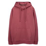 Sweat à Capuche Bordeaux Homme Teddy Smith Nark
