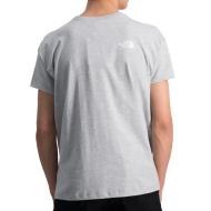 Camiseta gris para hombre The North Face Teen Oversize ver 2