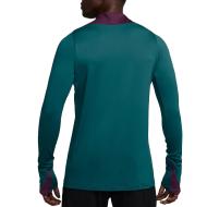 PSG Sweat Training Turquoise Homme Nike 24/25 vue 2