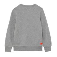 Sweat Gris Garçon Diesel Swillyz Felpa vue 2