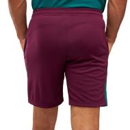 PSG Short Training Bordeaux Homme Nike 24/25 vue 2