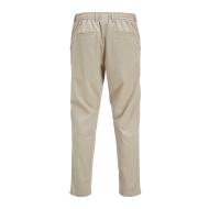 Pantalon Beige Homme Jack & Jones Jpstace vue 2