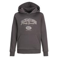 Sweat Gris Garçon Jack & Jones Ari pas cher
