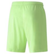Short de Sport Vert Homme Puma Teamliga vue 2
