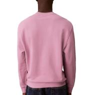 Sweat Rose Homme Calvin Klein 350terry Monog vue 2