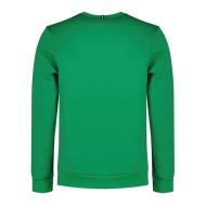 Sweat Vert Homme Le Coq Sportif Hoody vue 2
