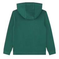 Sweat Vert/Bleu Garçon Timberland T25U56 vue 2