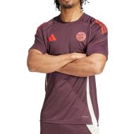 Bayern Munich Maillot Training Bordeaux Homme Adidas 24/25 pas cher