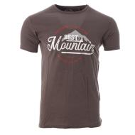 T-shirt Marron Homme Best Mountain 2009