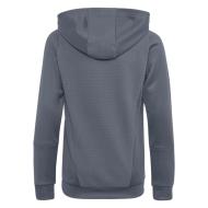 Sweat à Capuche Gris Foncé Homme Adidas Tiro23 vue 2