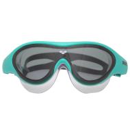 Arena The One Schwimmbrille, grün, für Jungen/Mädchen günstig