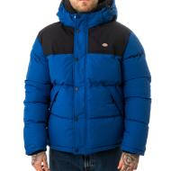 Doudoune Bleu Homme Dickies Glacier View Coat pas cher