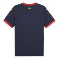 Girona FC Maillot Extérieur Homme Puma 24/25 vue 2