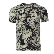T-shirt Noir/Beige Homme Teddy Smith Antone