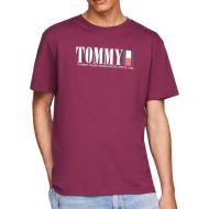 T-shirt Bordeaux Homme Tommy Hilfiger Dna