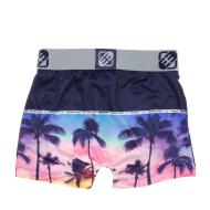 Boxer Gris/Marine à Imprimés Garçon Freegun Pal vue 2