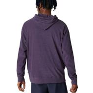 Sweat à capuche Violet Homme Converse Premium Skate vue 2