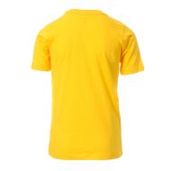 T-shirt Jaune/Violet Garçon NBA Lakers vue 2