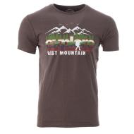 T-shirt Kaki Homme Best Mountain 2002