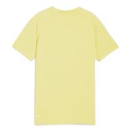 T-Shirt Jaune Garçon Puma Evostripe vue 2