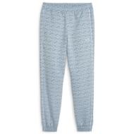 Jogging Bleu Homme Puma 624731 pas cher