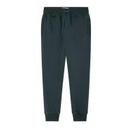 Jogging Vert Garçon Pepe Jeans Nolan
