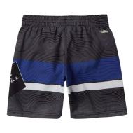 Short de bain Gris/Bleu Garçon O'Neill Stacked Plus vue 2