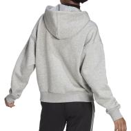 Sweat Gris Femme Adidas W Bluv Q4 Hd Tt vue 2