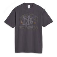 T-shirt Gris Homme Puma X Rhuigi 620888