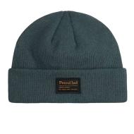 Bonnet Bleu Homme Petrol Industries Cap