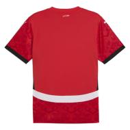 Egypte Maillot Réplica Domicile Homme Puma 25/26 vue 2