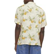 Chemise Manches Courtes Beige/Verte Homme Jack & Jones Jorluke vue 2