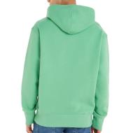 Sweat Vert Homme Calvin Klein Jeans Curved vue 2