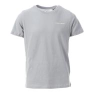 T-shirt Gris Garçon Teddy Smith Tnark