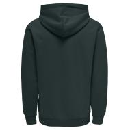 Sweat à Capuche Vert Scarabée Homme Only & Sons Ceres vue 2