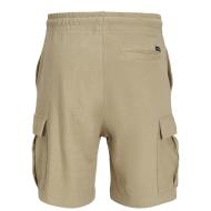 Short Cargo Beige clair Homme Jack & Jones Gordon vue 2