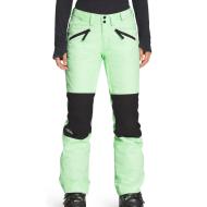 Pantalon de ski Vert Femme The North Face Aboutaday pas cher