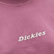 T-shirt Violet Femme Dickies Loretto vue 3
