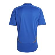 Juventus Maillot Bleu Homme Adidas Teamgeist vue 2