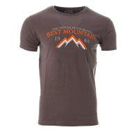 T-shirt Gris Homme Best Mountain 2004